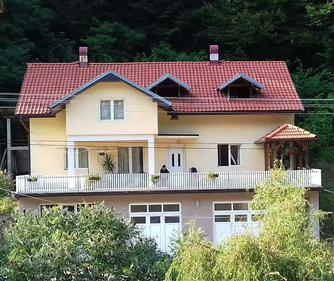 Guesthouse Stanojevic Guca Exterior photo